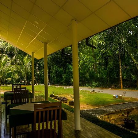 Little Ele Safari Lodge Удавалаве Екстер'єр фото