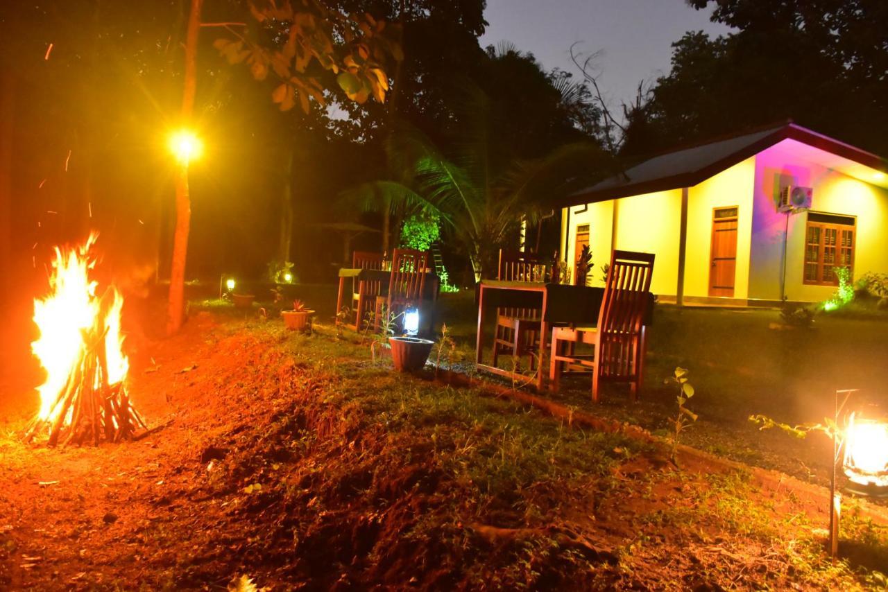 Little Ele Safari Lodge Удавалаве Екстер'єр фото